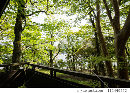 Log house in the forest, green campsite, campsite accommodation, forest lodge Log house in the forest, green campsite, campsite accommodation, forest lodge 111449352