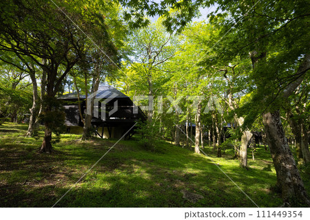 Log house in the forest, green campsite, campsite accommodation, forest lodge 111449354