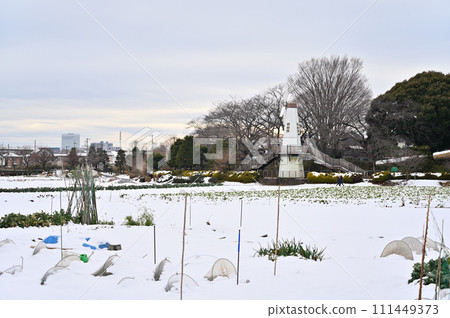 大雪中的埼玉市風景、埼玉縣三晴公園(埼玉新都心、大宮、大和田地區) 大雪中的埼玉市風景、埼玉縣三晴公園(埼玉新都心、大宮、大和田地區) 111449373