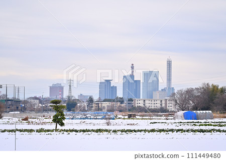 Scenery of Saitama City in heavy snow, Saitama Prefecture (Saitama Shintoshin, Omiya, Owada, area) 111449480
