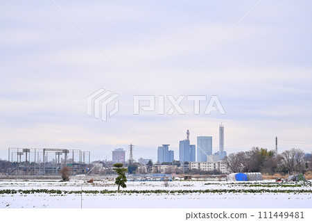 Scenery of Saitama City in heavy snow, Saitama Prefecture (Saitama Shintoshin, Omiya, Owada, area) 111449481