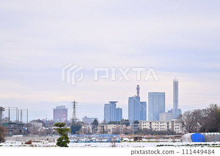 埼玉縣大雪中的埼玉市風景（埼玉新都心、大宮、大和田地區） 111449484