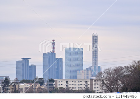 埼玉縣大雪中的埼玉市風景（埼玉新都心、大宮、大和田地區） 111449486