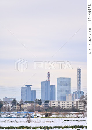 埼玉縣大雪中的埼玉市風景（埼玉新都心、大宮、大和田地區） 111449488