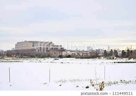 埼玉縣大雪中的埼玉市風景（埼玉新都心、大宮、大和田地區） 111449511