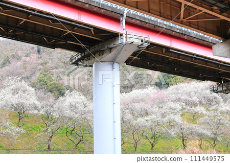 東京Takao Umego(木下Umebayashi)的景觀 東京Takao Umego(木下Umebayashi)的景觀 111449575
