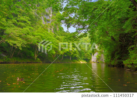 東北部、猊鼻溪、乘船、在桃源峽等美麗風景中舒適乘船的形象 - 岩手縣一關市 (4) 111450317