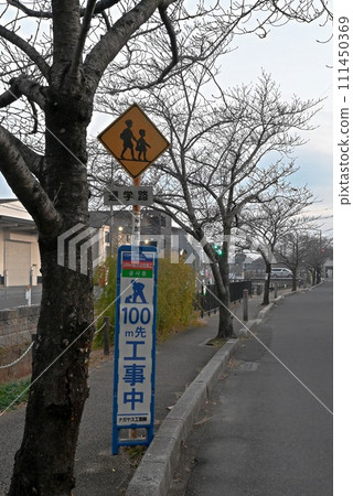 School road signs, road construction signs, and rows of cherry blossom trees in winter (vertical composition) School road signs, road construction signs, and rows of cherry blossom trees in winter (vertical composition) 111450369