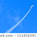 藍色的衝動在天空翱翔 111450391