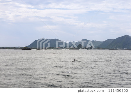 In the embrace of the Norwegian Sea Andenes unfurls with rolling mountains while seabirds glide over 111450500