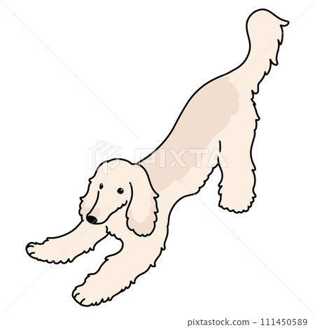 手繪插畫簡單可愛的阿富汗獵犬邀請你一起玩,主線 手繪插畫簡單可愛的阿富汗獵犬邀請你一起玩,主線 111450589