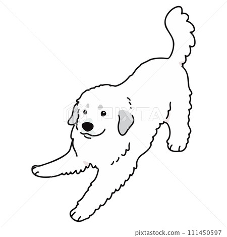A simple and cute hand-drawn illustration of a Great Pyrenees that invites you to play, with main lines 111450597