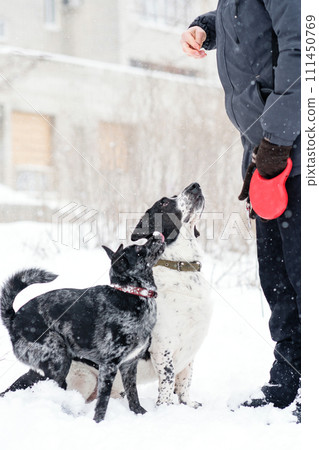 Anticipating Winter Treats Anticipating Winter Treats 111450769