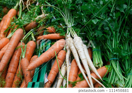 Fresh carrot with celery in the grocery store. fresh vegetables 111450881