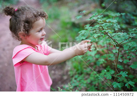child holds a green leaf in her hands during walking in the forest. Protect nature concept. Kid child holds a green leaf in her hands during walking in the forest. Protect nature concept. Kid 111450972