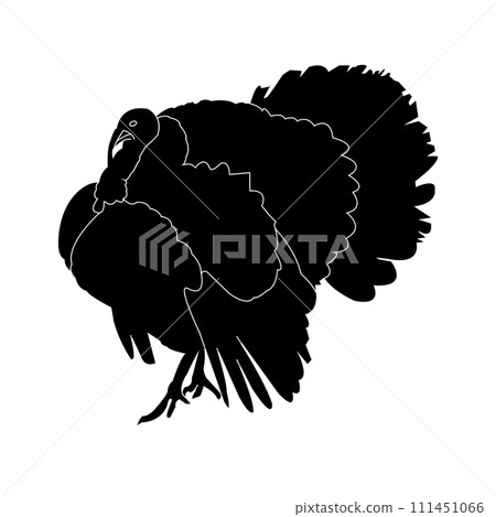 Turkey icon 111451066