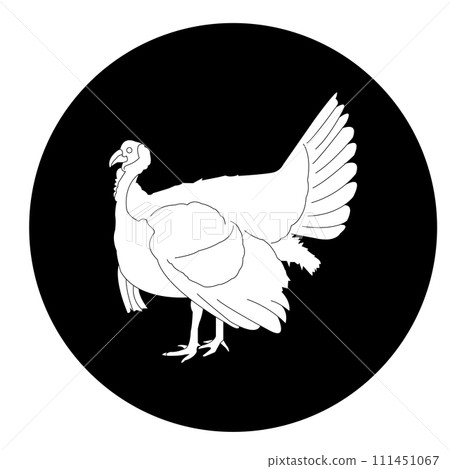 Turkey icon Turkey icon 111451067