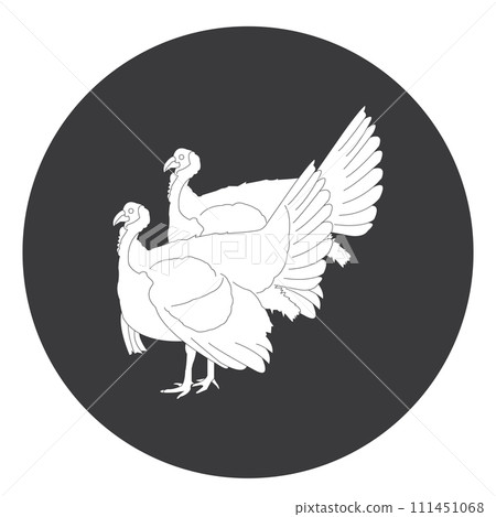 Turkey icon 111451068