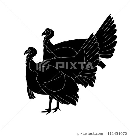 Turkey icon Turkey icon 111451070