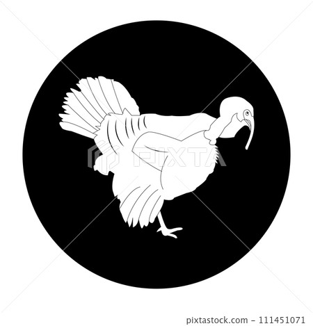 Turkey icon 111451071