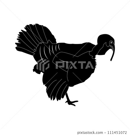 Turkey icon Turkey icon 111451072