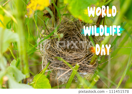 Celebrating World Wildlife Day With a Serene Nest Hidden Among Vibrant Foliage Celebrating World Wildlife Day With a Serene Nest Hidden Among Vibrant Foliage 111451578