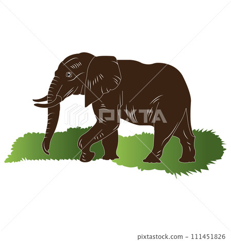 Elephant icon Elephant icon 111451826