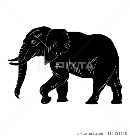 Elephant icon Elephant icon 111451828