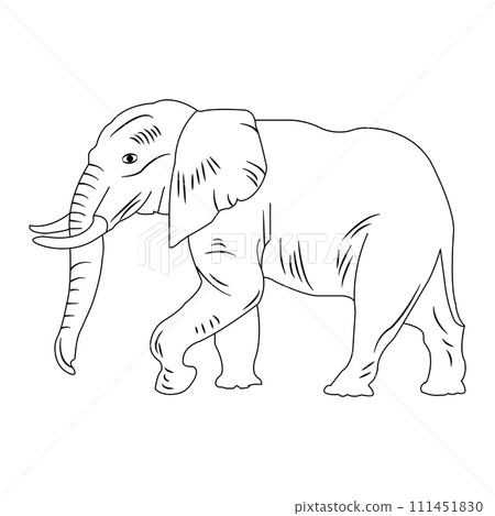 Elephant icon 111451830