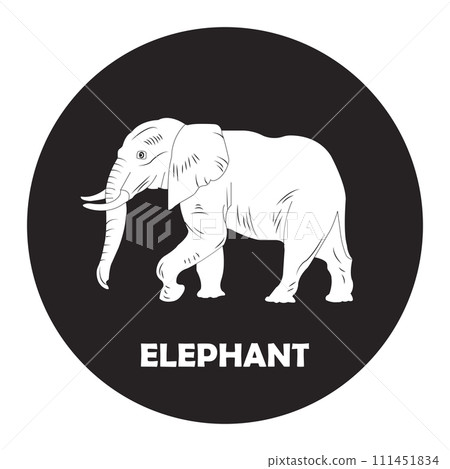 Elephant icon 111451834
