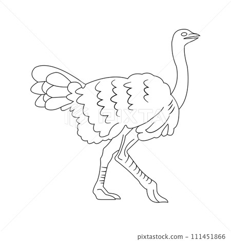 Ostrich icon Ostrich icon 111451866