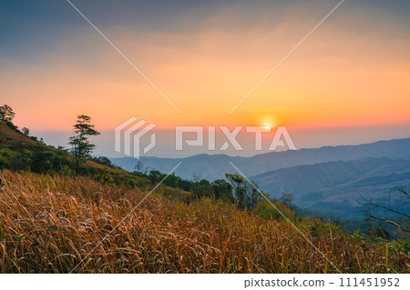 Sunrise over mountain in tropical rainforest at Phu Lom Lo, Phu Hin Rong Kla national park Sunrise over mountain in tropical rainforest at Phu Lom Lo, Phu Hin Rong Kla national park 111451952