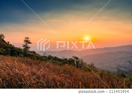 Sunrise over mountain in tropical rainforest at Phu Lom Lo, Phu Hin Rong Kla national park 111451954