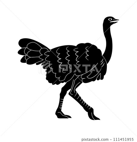 Ostrich icon Ostrich icon 111451955