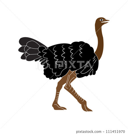 Ostrich icon 111451970