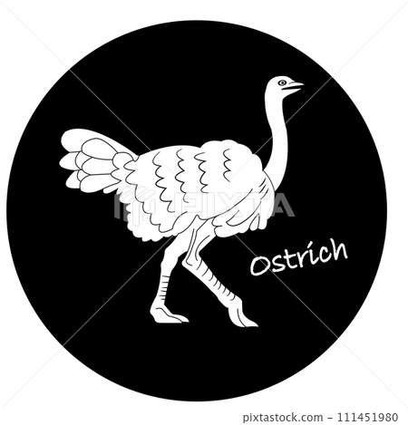 Ostrich icon 111451980