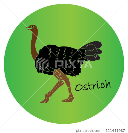 Ostrich icon 111451987