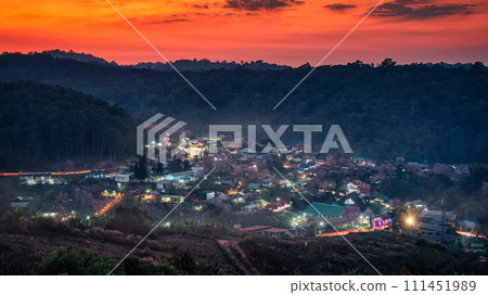Rural scene of Thai tribe village with wild himalayan cherry tree blooming in the sunset at Ban Rong Kla, Thailand 111451989