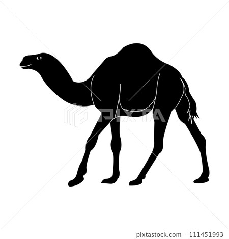 Camel logo Camel logo 111451993