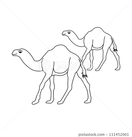 Camel logo Camel logo 111452001