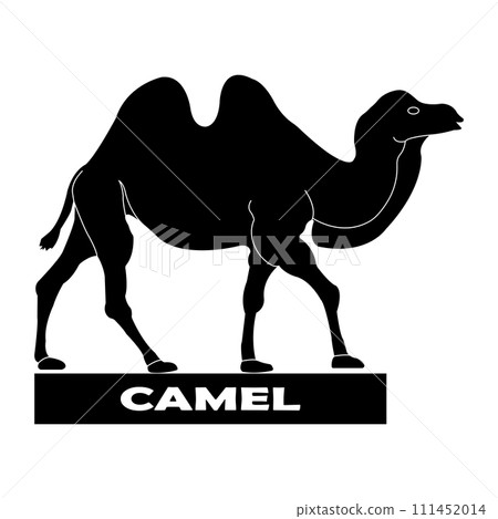 Camel logo Camel logo 111452014