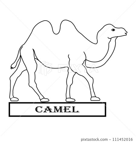 Camel logo 111452016