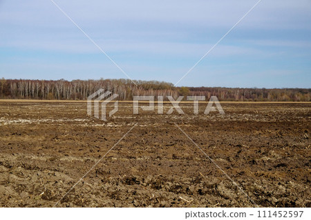 A photo of a field with a forest in the background and a clear sky. A photo of a field with a forest in the background and a clear sky. 111452597