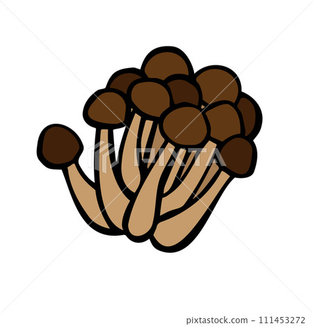Hand-drawn illustration of Bunshimeji mushrooms 111453272