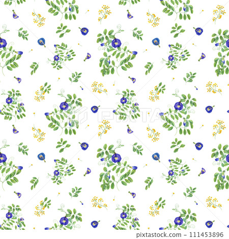 Blue and yellow flowers with green leaves. Seamless pattern of Thai flowers. Butterfly pea flowers. Tropical plant, Ipomoea, clitoria ternatea, bluebellvine. Watercolor illustration 111453896