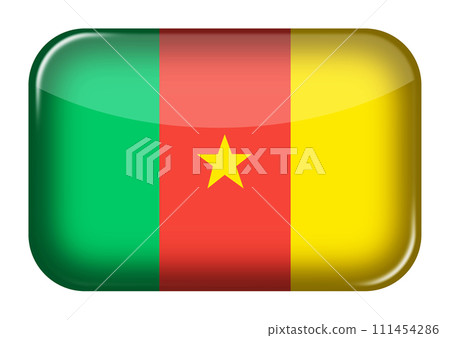 Cameroon web icon rectangle button Cameroon web icon rectangle button 111454286
