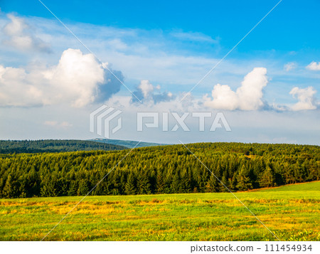 Summer mountain landscape with green meadow, forest and blue sky with white clouds Summer mountain landscape with green meadow, forest and blue sky with white clouds 111454934