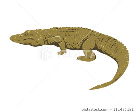 American Alligator Side View on Isolated Background Art Deco WPA Poster Art American Alligator Side View on Isolated Background Art Deco WPA Poster Art 111455181