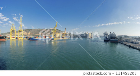 Bustling Port Scene with Cargo Cranes, Containers, and a Docked Cruise Ship 111455205