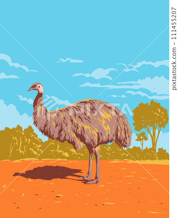 Emu in Gundabooka National Park in Outback NSW Australia Art Deco WPA Poster Art Emu in Gundabooka National Park in Outback NSW Australia Art Deco WPA Poster Art 111455207